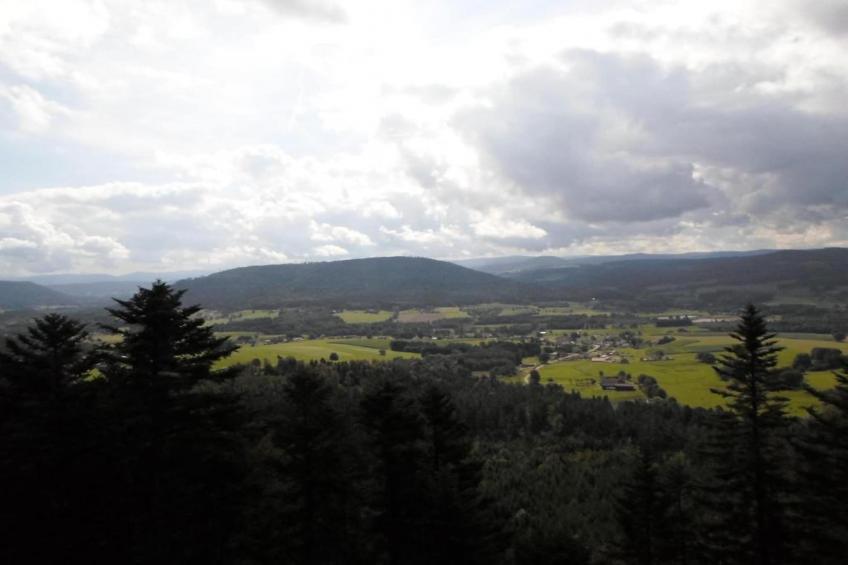 Domaine Des Messires 2 - foto 18