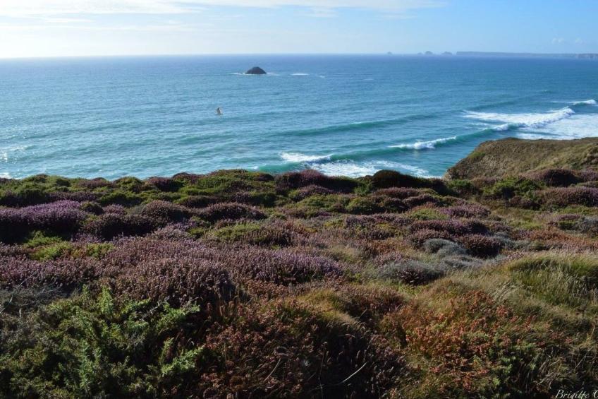 Ferienhaus - foto 35