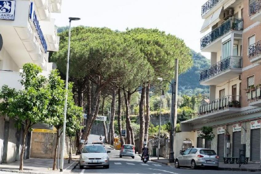 My  Home Sorrento - foto 60