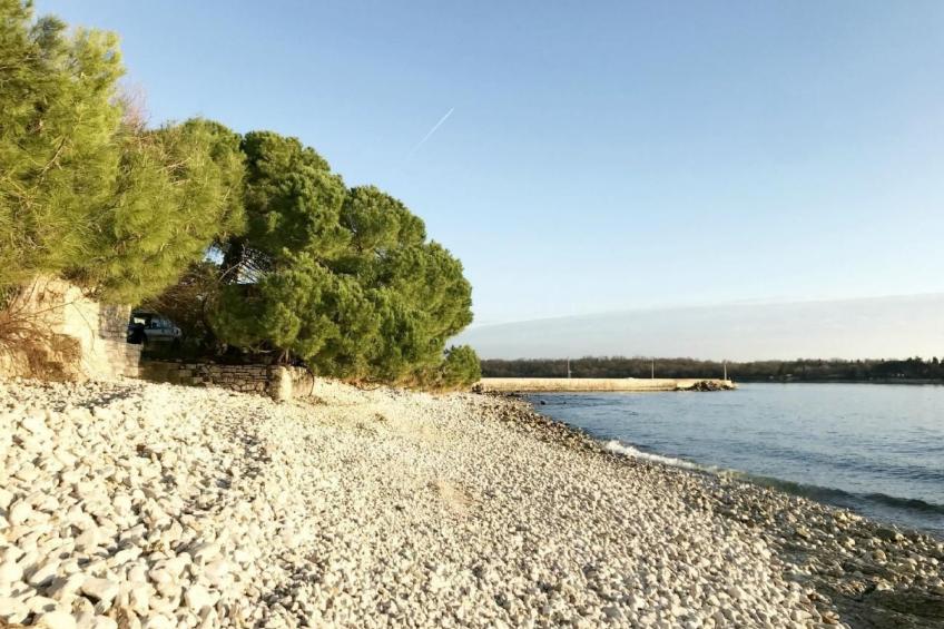 Große Wohnung in Babići mit Garten und Terrasse - foto 37