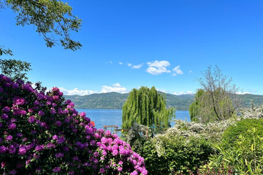 Bnbook Hecht Haus - foto 44