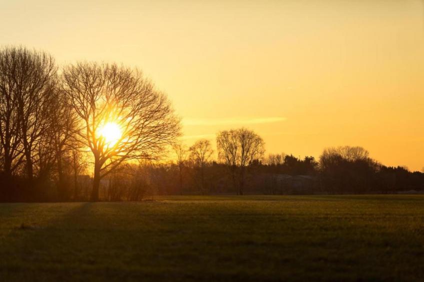 Vakantiepark Molenvelden 9 - foto 23