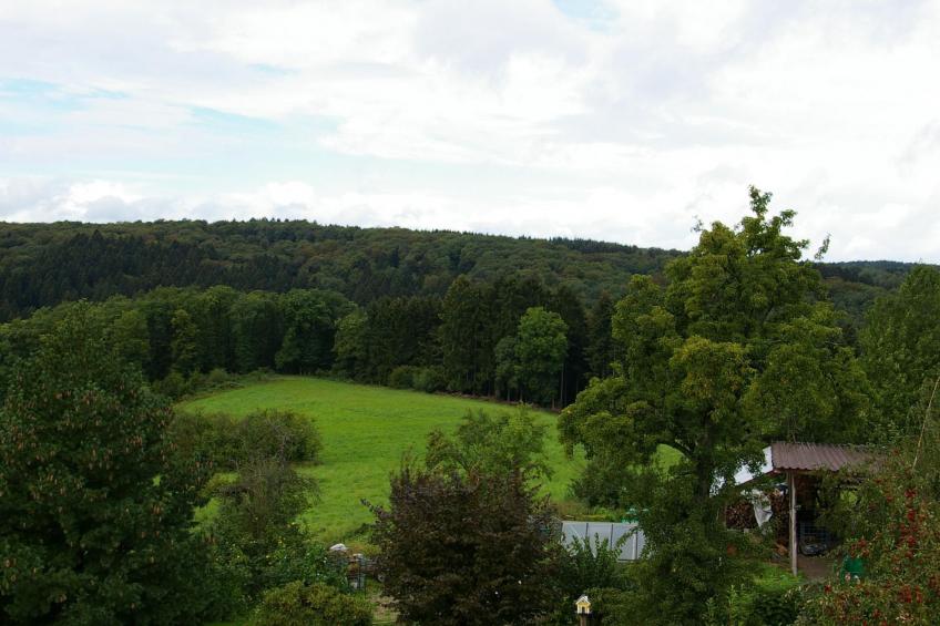 Komfortable Ferienwohnung in Waldnähe - foto 19