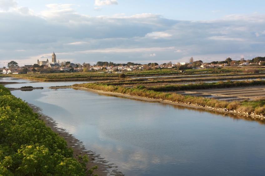 Le Domaine des Pins - foto 17