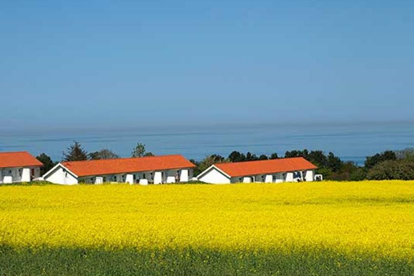 "Folki" - 300m from the sea - foto 7