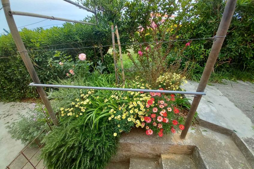 Holiday apartment With sea view - BF-2M3X - foto 5