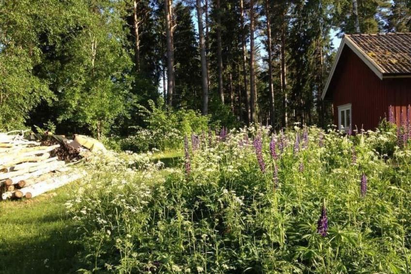 am See Skagern - foto 12