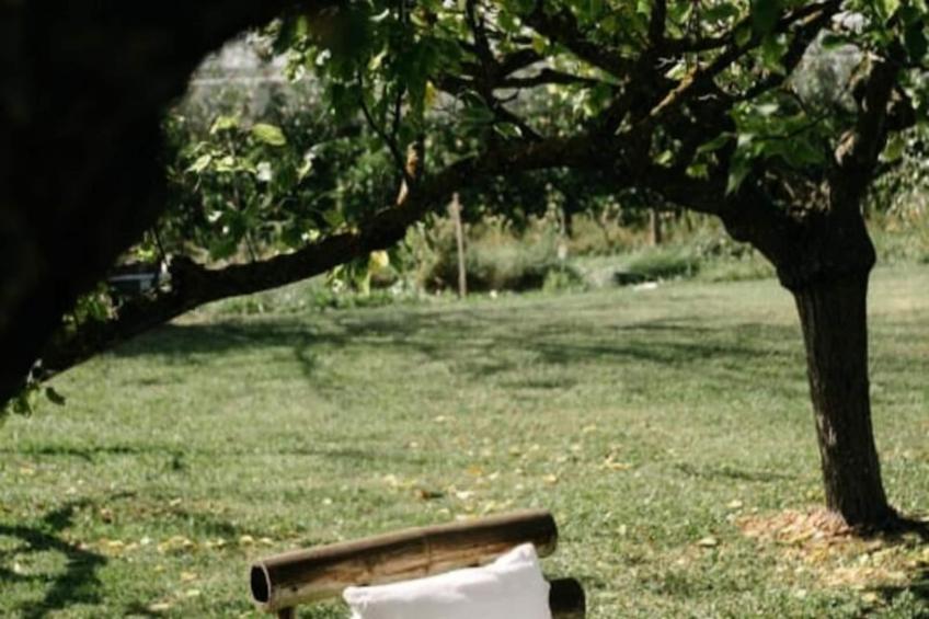 84b6 - Loft Dans Mas De Charme Du Xviiième Siècle - foto 41