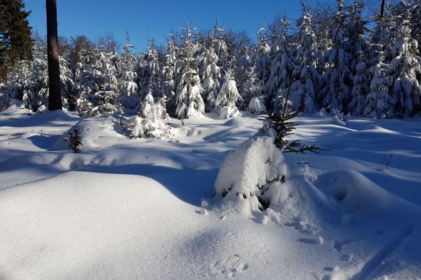 Ferienvilla mit eigener Sauna - foto 45