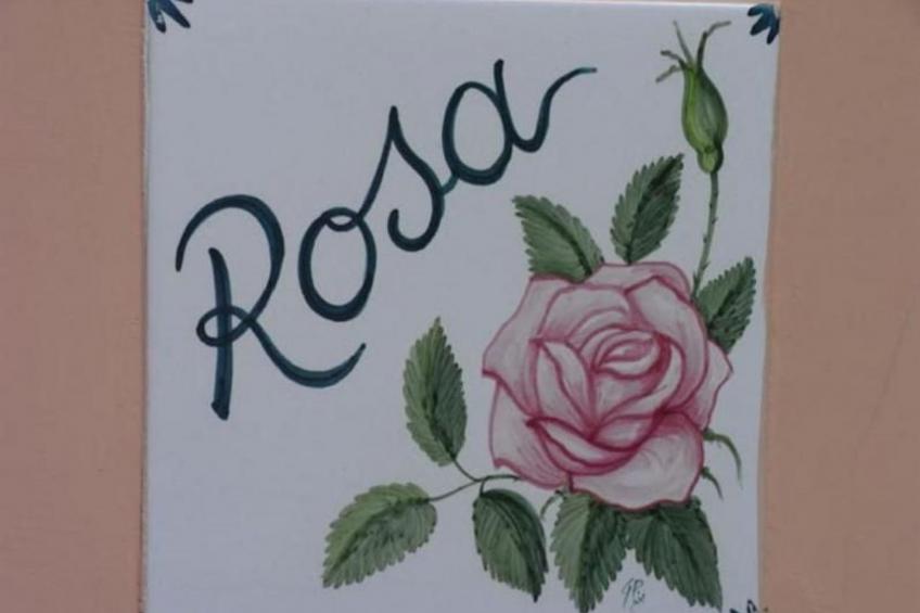 Rosa' Wohnung mit privatem Garten - foto 3