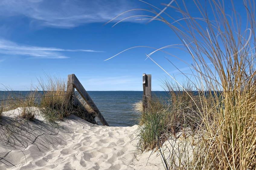 Schlönis Koppelblick - foto 40
