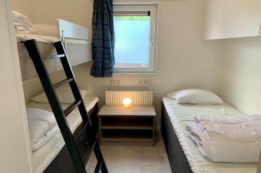 Campanula 136 - foto 8