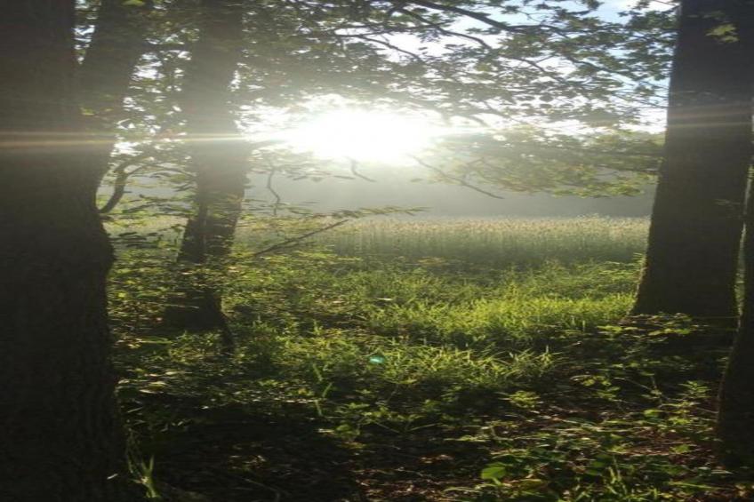 Vakantiepark de Vossenburcht - foto 29