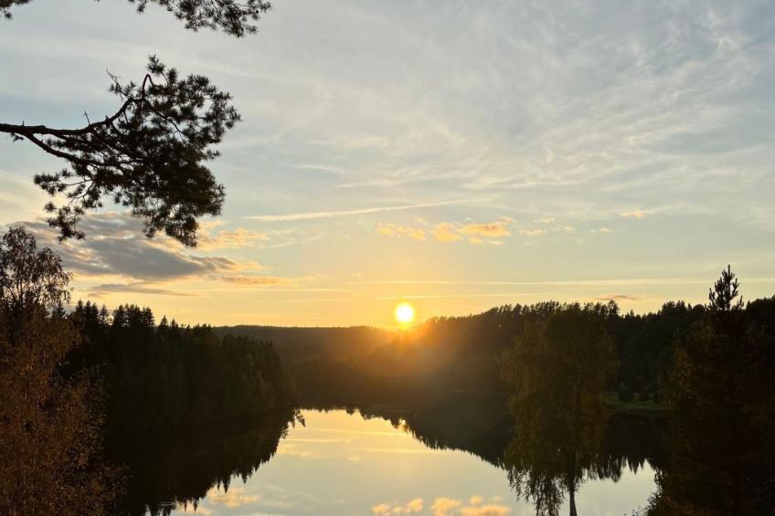 Solbacken Cottage und Lodge - foto 46