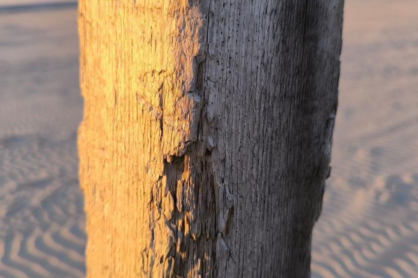 in Marienhafe - foto 15