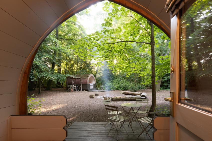 Bluebelle Glamping Pod - foto 18