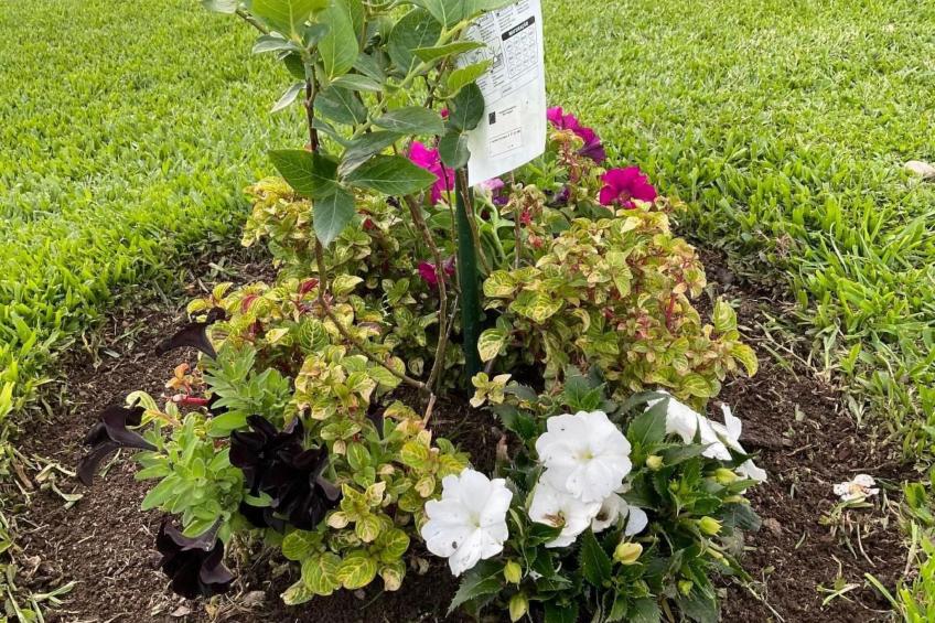 Casa da Guilheta - foto 36