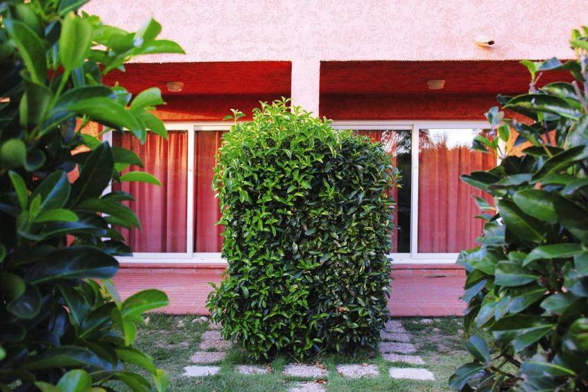 Résidence Marina Corsa in Ghisonaccia - Type A - foto 7