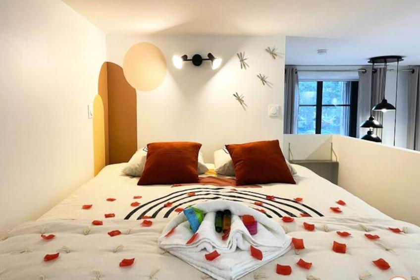 L'orient-express - Jacuzzi Spa - Parking - Loft - foto 5