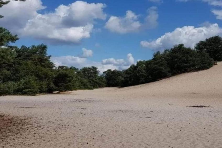 Vakantiepark De Pier - foto 29