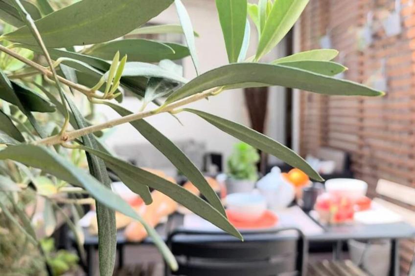 La Terrasse Bazille - foto 49