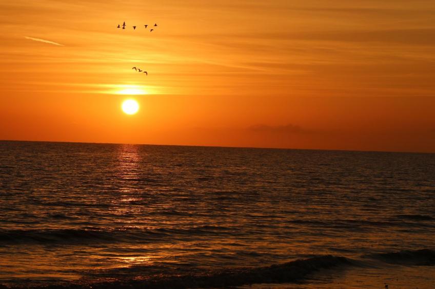 l'Escale dunes, Strände 20 Meter entfernt, Meerblick - foto 34