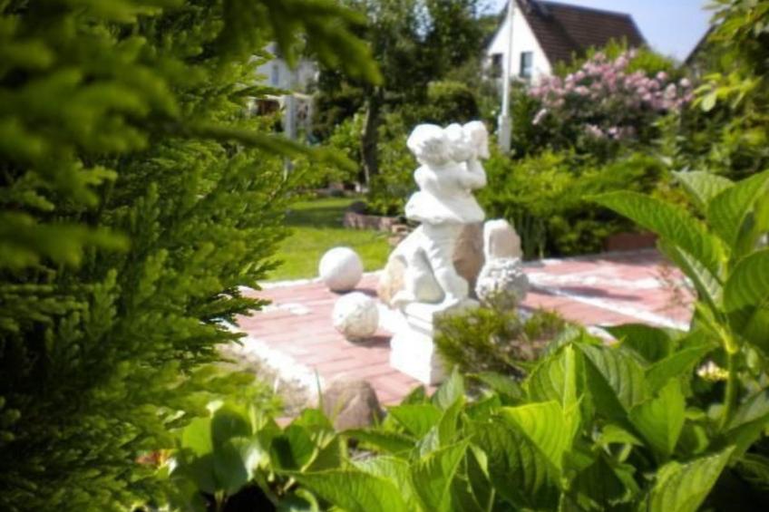 Strandläuferle - foto 18