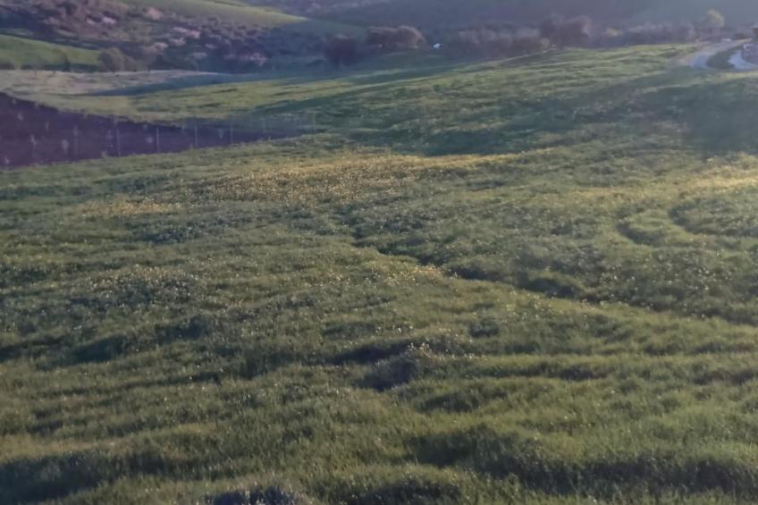 in Almogía mit Garten, Terrasse und gemeinschaftlichem Pool - foto 6