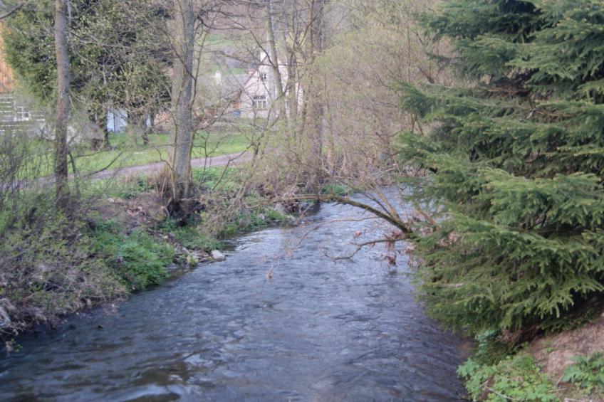 in natürlicher Umgebung - foto 15