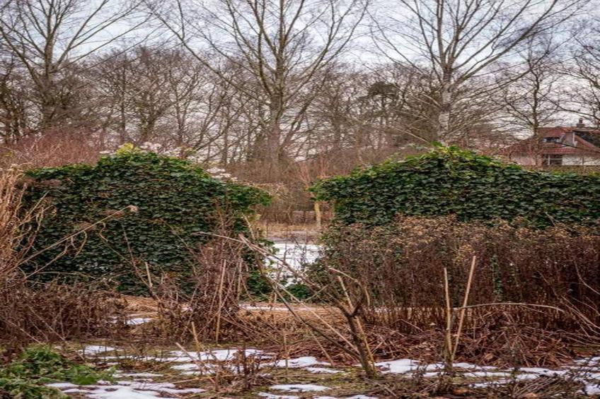 Bospark de Schaapskooi - foto 37