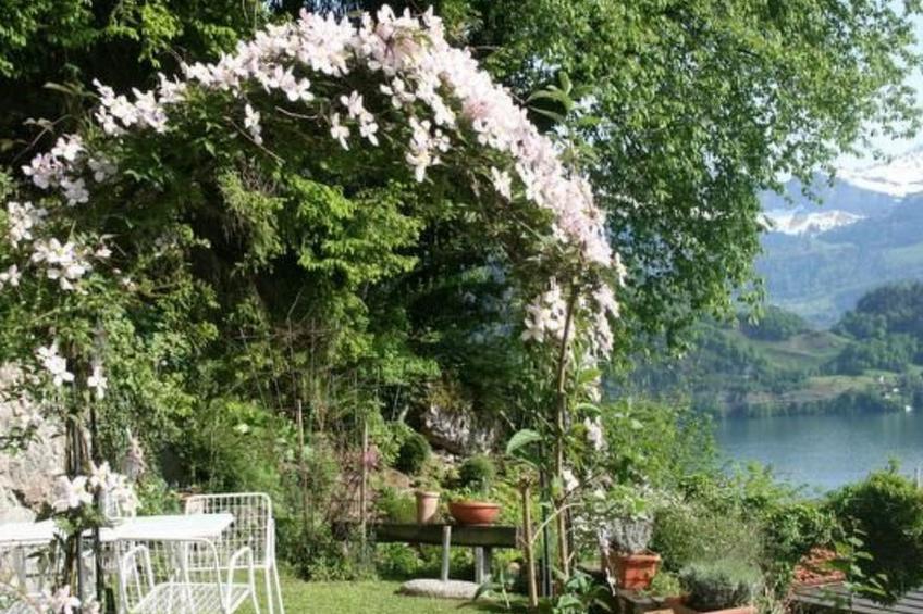 Traumstrand Vitznau - foto 6