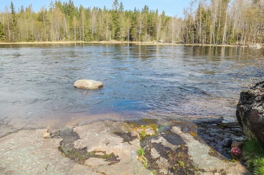 Nurmes, käpälysmökki - foto 9