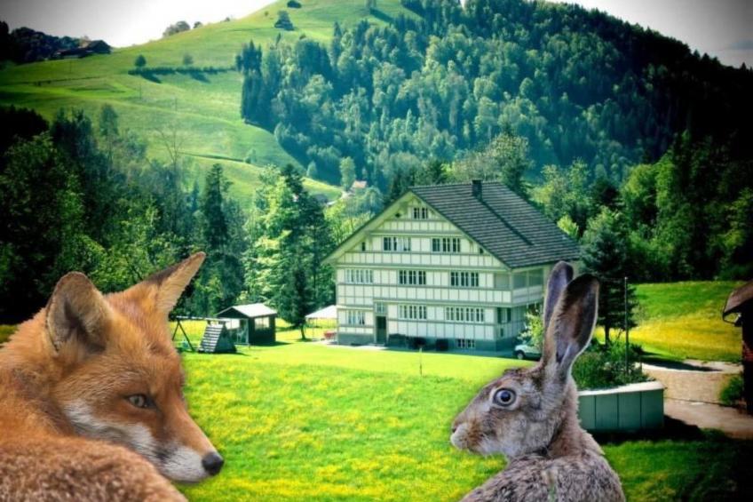 Verschlafen... in sanfte Hügel eingebettet. - foto 2