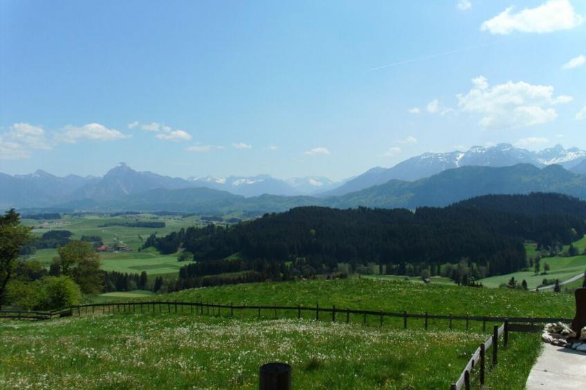 229539 - foto 29