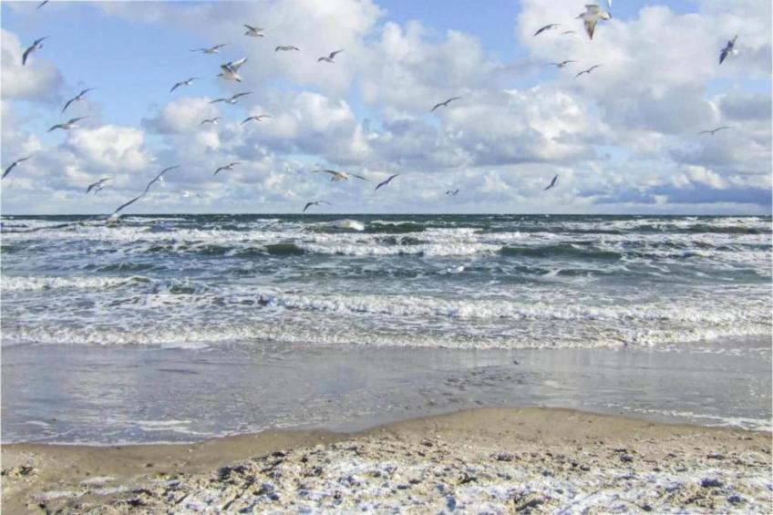 Ferien an der Ostsee - foto 29