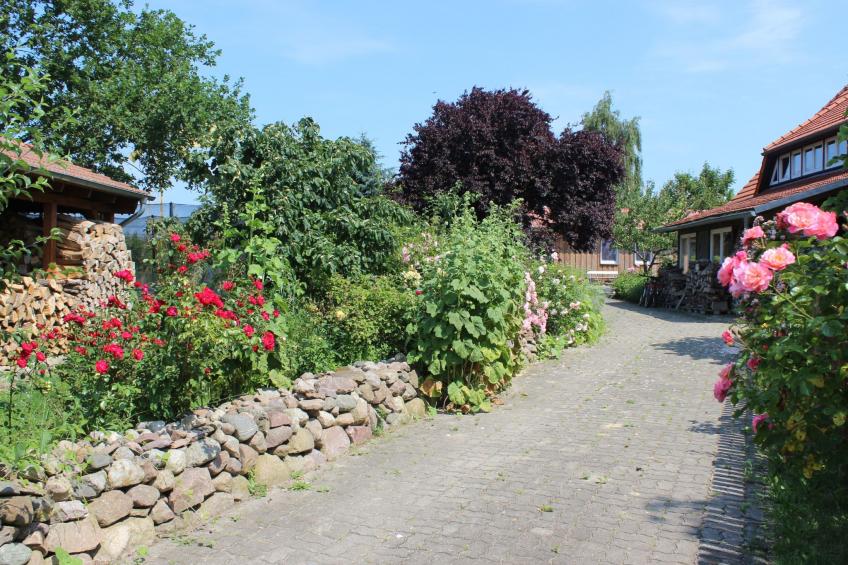 Janet Ratschkowski - foto 42