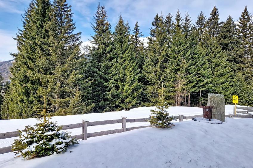 Naviser Hütte - foto 32