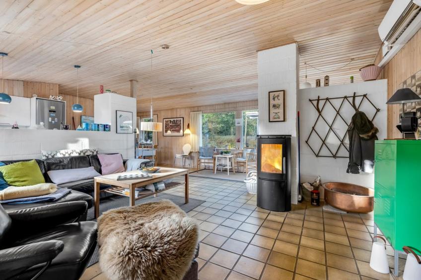 "Maaria" - 600m from the sea in Western Jutland - foto 3