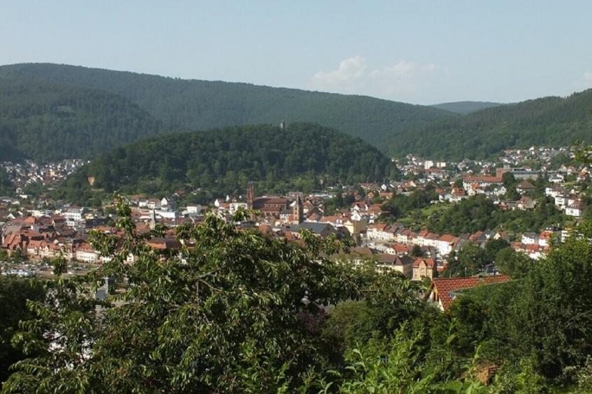 255648 - foto 6