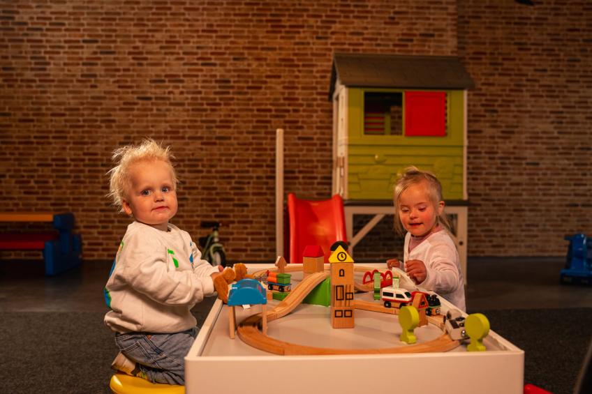 De Vuursteen - foto 11