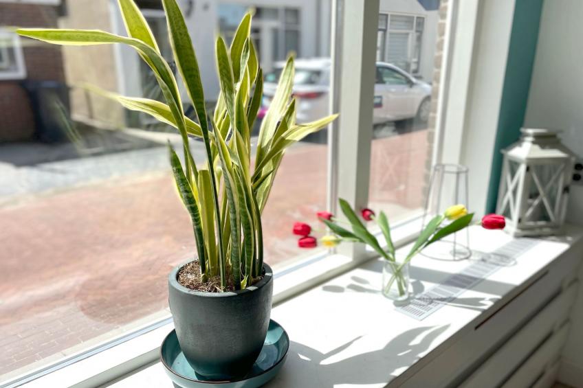 Aurora, Katwijk Zee - foto 6