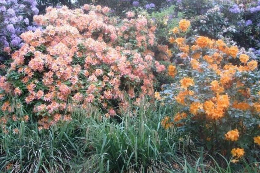 Meerestraum - foto 38