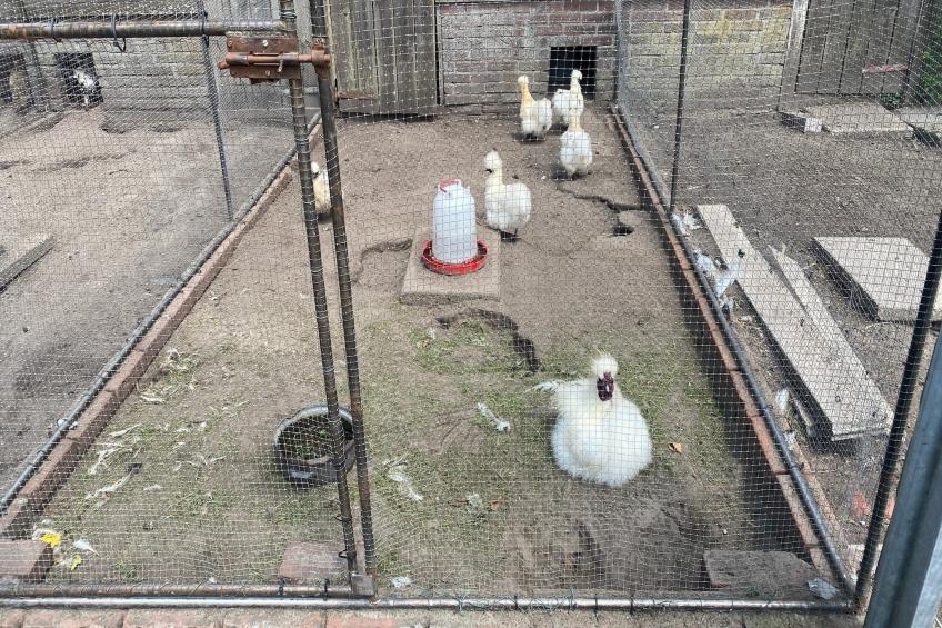 De Hofstede - foto 37