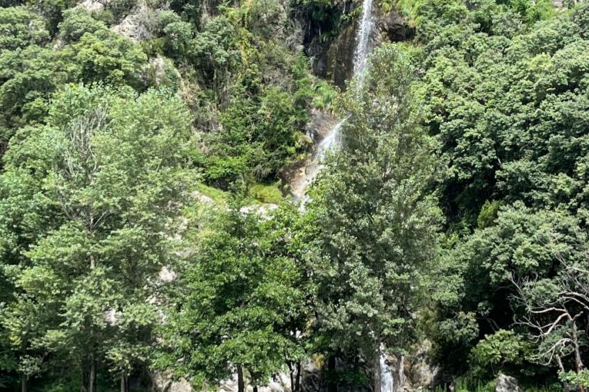 Vakantieappartement 'Willkommen am See' - foto 19