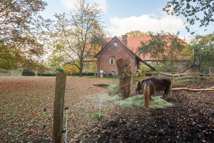 Biobauernhof - foto 12