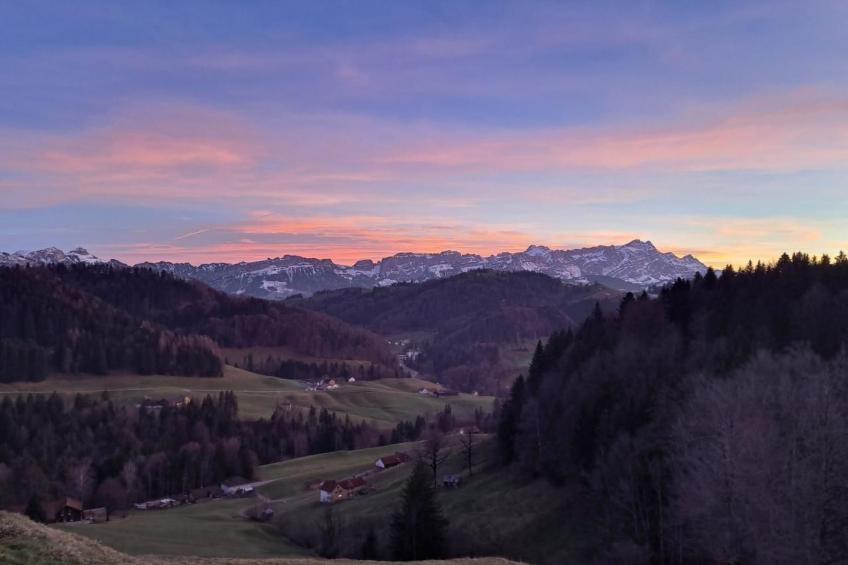 Sennastübli - foto 3