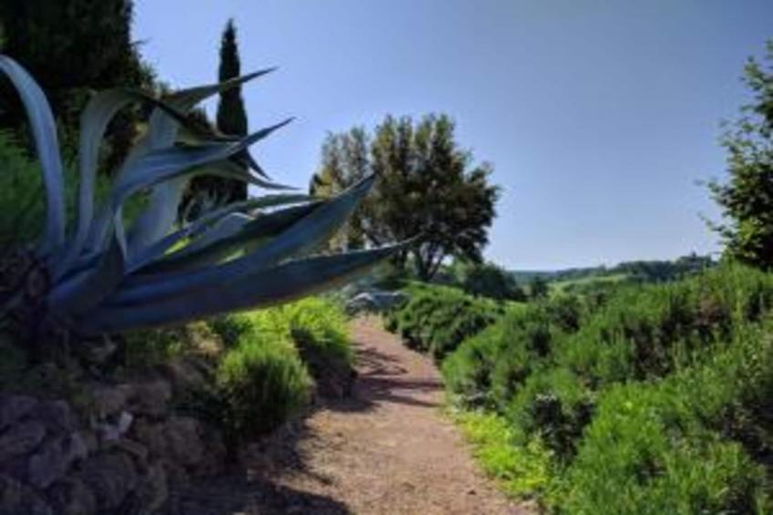 Poggio Casale - foto 28