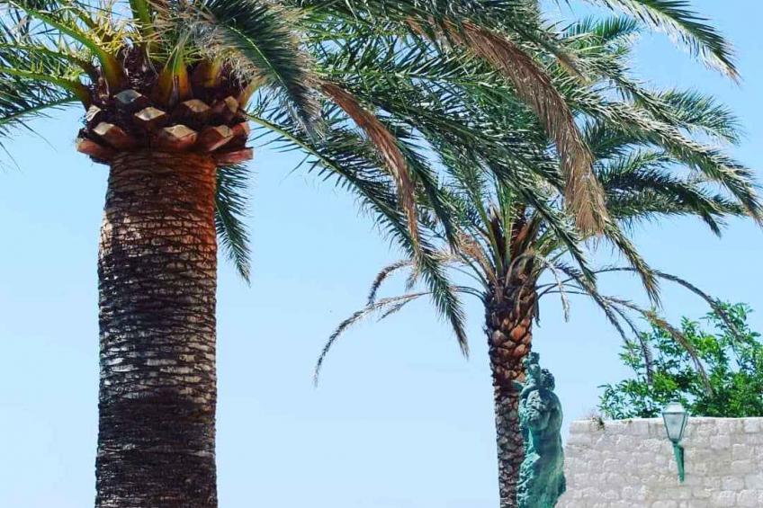 Holiday apartment with terrace and sea view - BF-67JV8 - foto 44