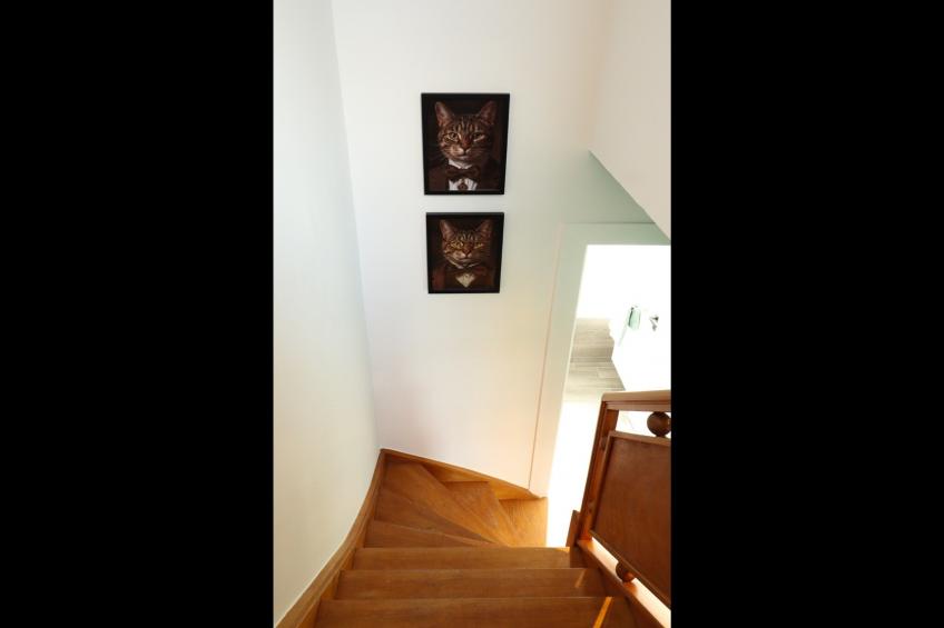 Maison Maurice - foto 22