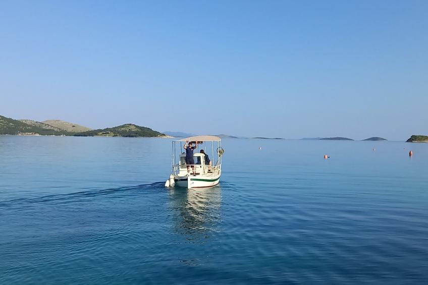 Strandhaus Sofia - Ferienanlage Bain, Žut - Kornati - foto 41